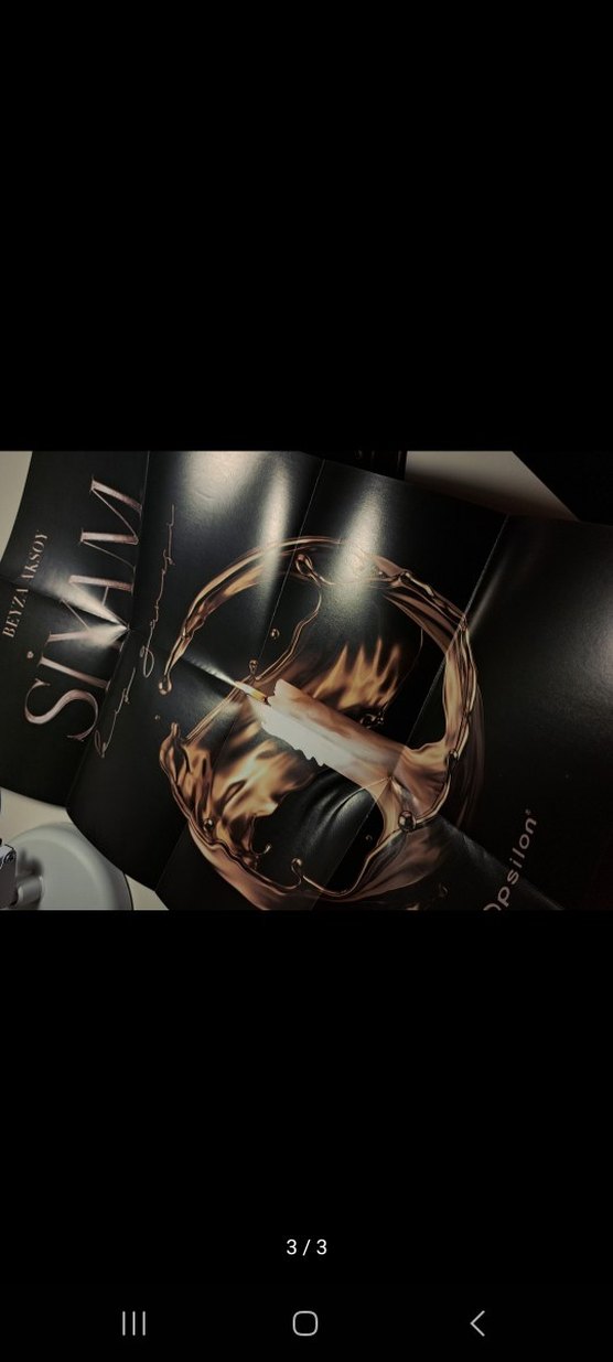 Siyam - Beyza aksoy - Görsel 3