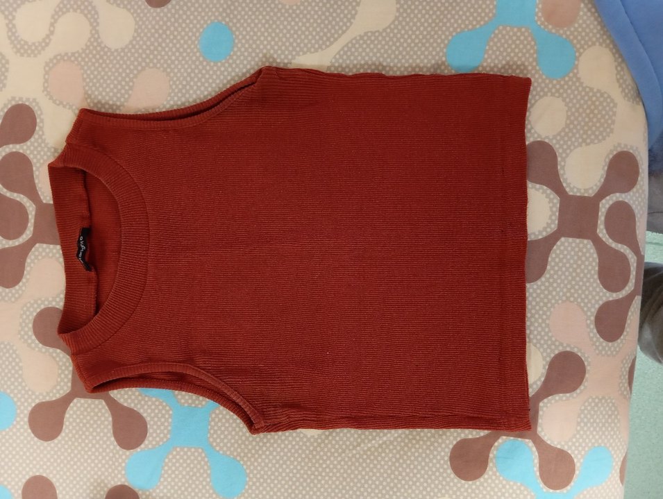 Kadın Kahverengi Kolsuz Crop Top - Görsel 2