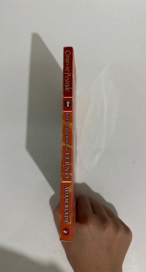 Canavar Peşinde 1 Ateş Ejderhası Ferno - Adam Blade - Görsel 2