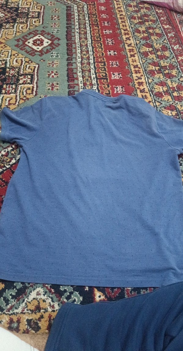 mavi polo yaka kısa kollu t-shirt - Görsel 2