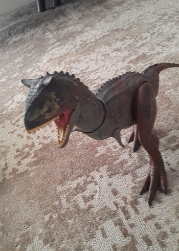dinozor