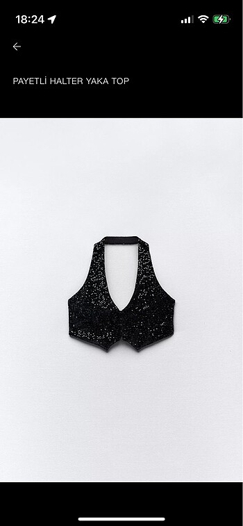 Payet/taş detaylı Crop top seti (Zara/bershka)