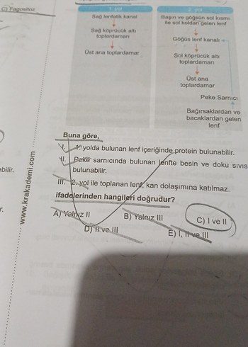 Beden dr biyoloji ayt biyoloji soru bankası
