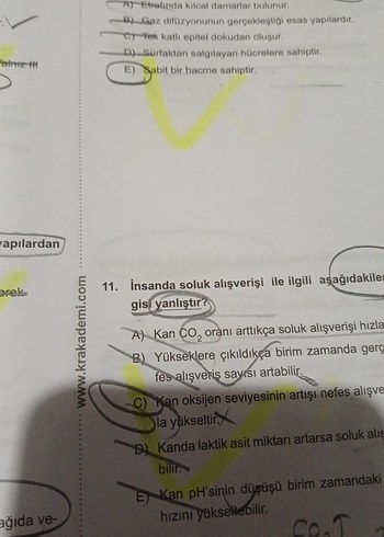 Beden Renk dr biyoloji ayt biyoloji soru bankası