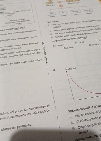 Beden Renk TYT Dr. Biyoloji Soru Bankası