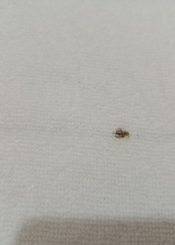 Nakışlı Beyaz Pastel Havlu Seti - Görsel 3