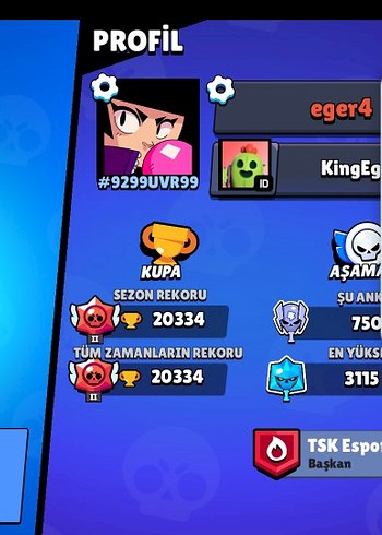 Diğer Brawls Stars 2019 Hesabı