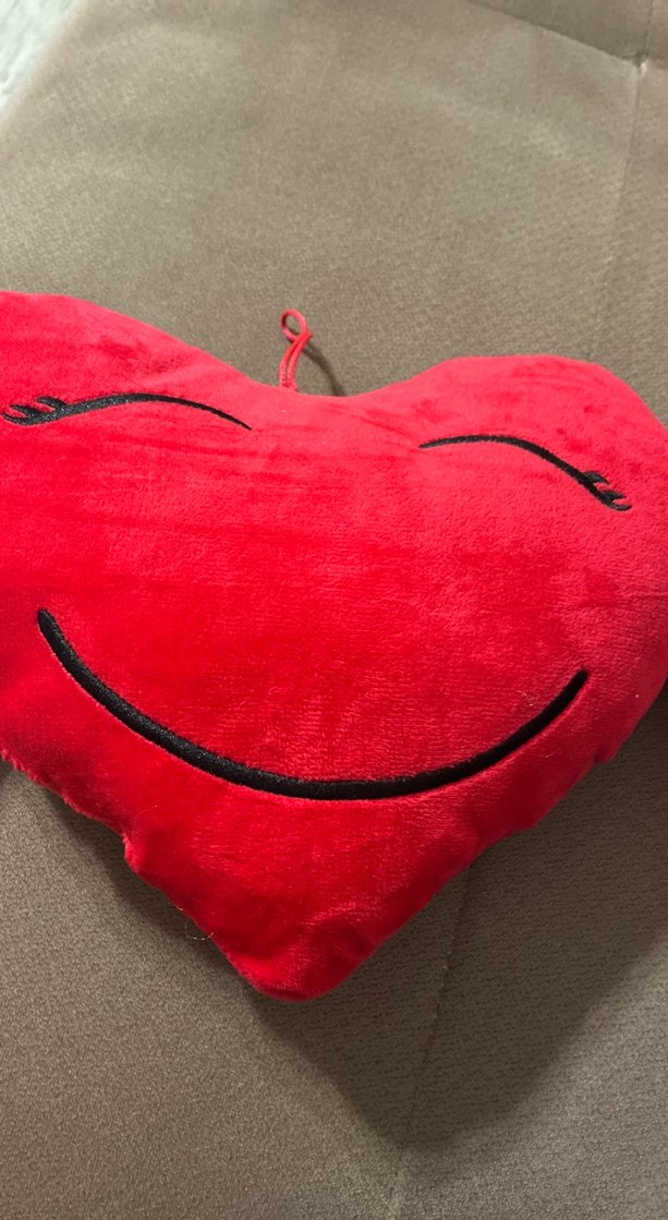 Kırmızı Renkli Yumuşak Peluş Oyuncak - Görsel 2