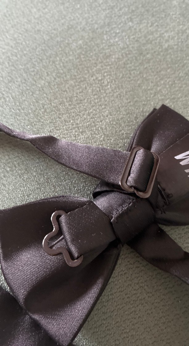 Siyah Düz Erkek Papyon - Görsel 4