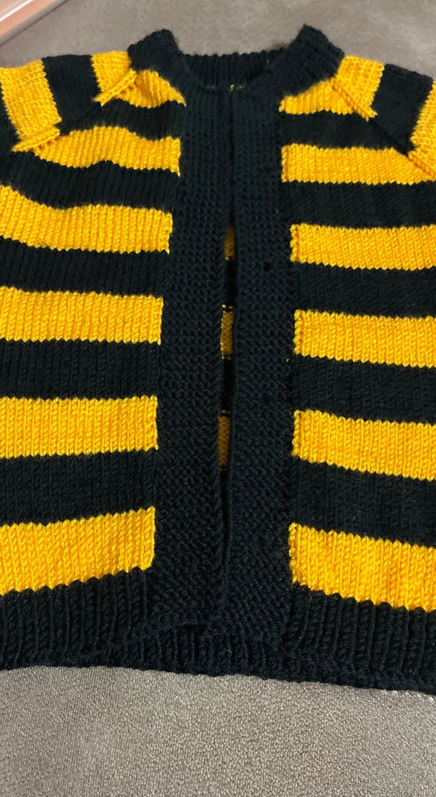 Erkek Çocuk Sarı-Siyah Çizgili Kısa Kollu yelek - Görsel 5
