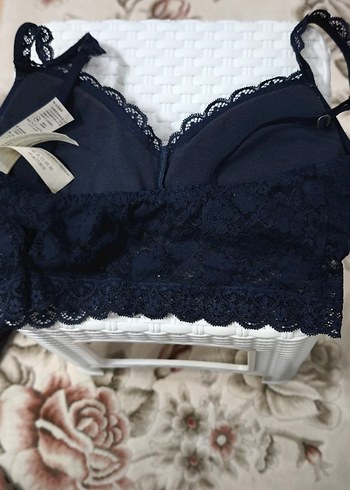 Hollister m