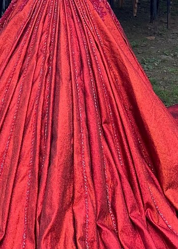 Kırmızı kınalık - Görsel 3