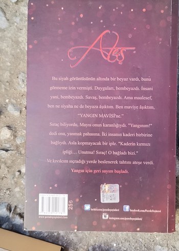 Ateş - Binnur Niğiz Romanı Yangın Mavisi 2 - Görsel 2