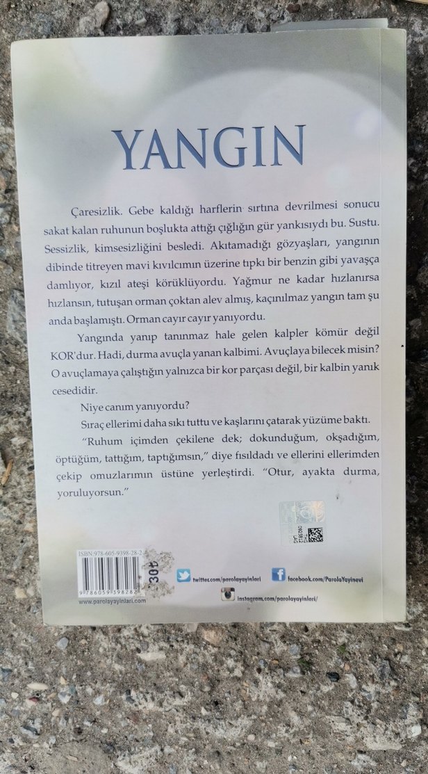 Yangın - Binnur Niğiz Roman Yangın Mavisi 3 - Görsel 2