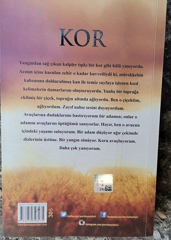 KOR - Binnur Niğiz Romanı Yangın Mavisi 4 - Görsel 2