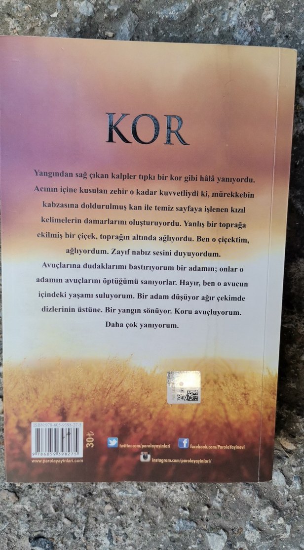 KOR - Binnur Niğiz Romanı Yangın Mavisi 4 - Görsel 2