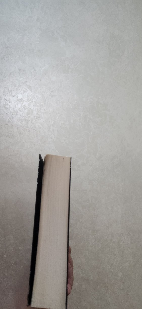 Karanlık Zihinler - Alexandra Bracken - Görsel 2