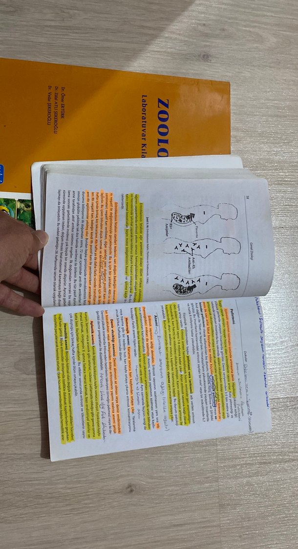 Genel Zooloji ve Laboratuvar Kılavuzu Kitapları - Görsel 3