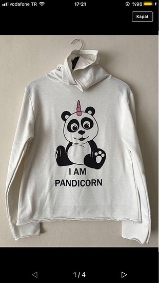 I Am Pandicorn
