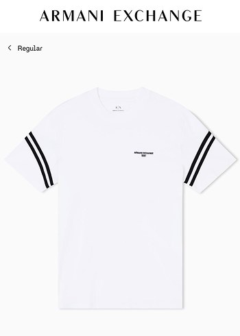 Gri Çizgili Beyaz Erkek Tişört - Görsel 2