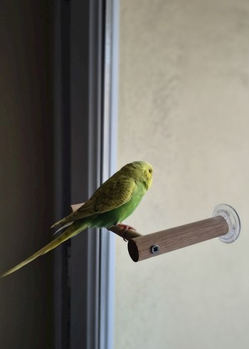 Cam Tüneği Vantuzlu - Görsel 4