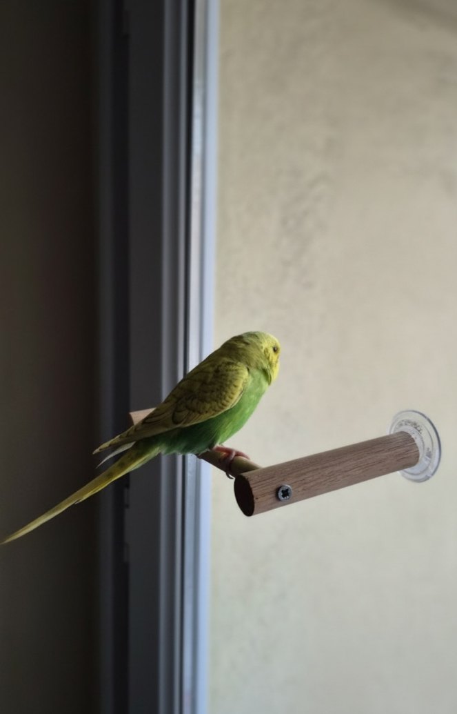 Cam Tüneği Vantuzlu - Görsel 4