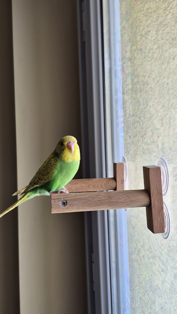 Vantuzlu Cam Tüneği - Görsel 5