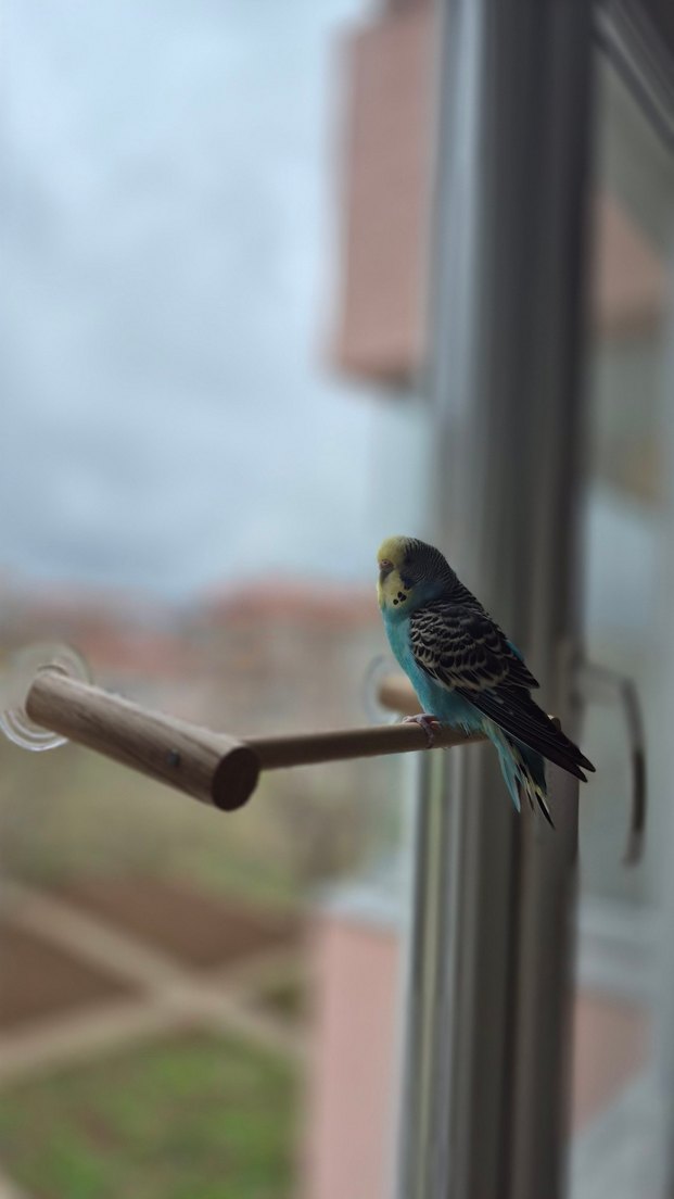 Vantuzlu Cam Tüneği - Görsel 5