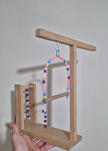 Muhabbet Kuşu Oyun Alanı - Görsel 2