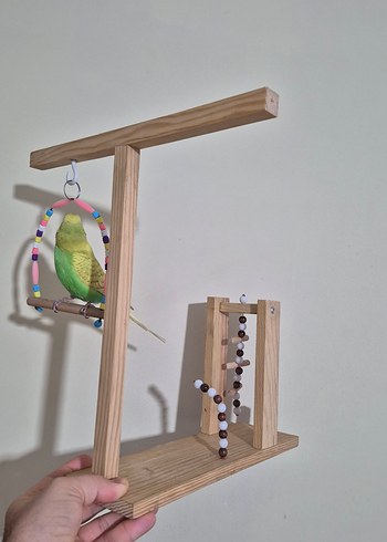 Muhabbet Kuşu Oyun Alanı - Görsel 3