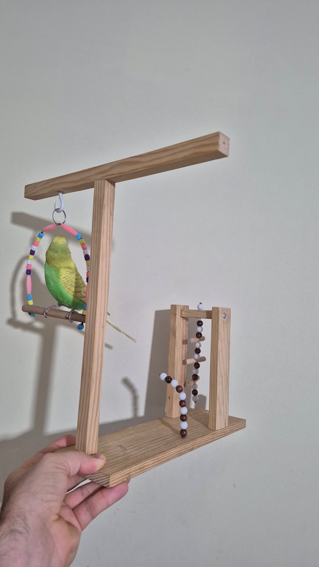 Muhabbet Kuşu Oyun Alanı - Görsel 3