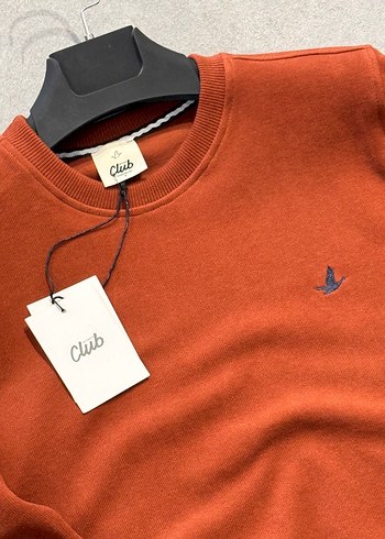 Erkek Kahverengi Regular Fit Sweatshirt - Görsel 3