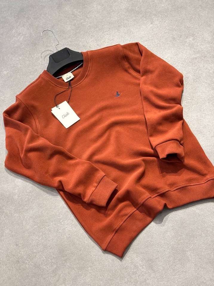 Erkek Kahverengi Regular Fit Sweatshirt - Görsel 2