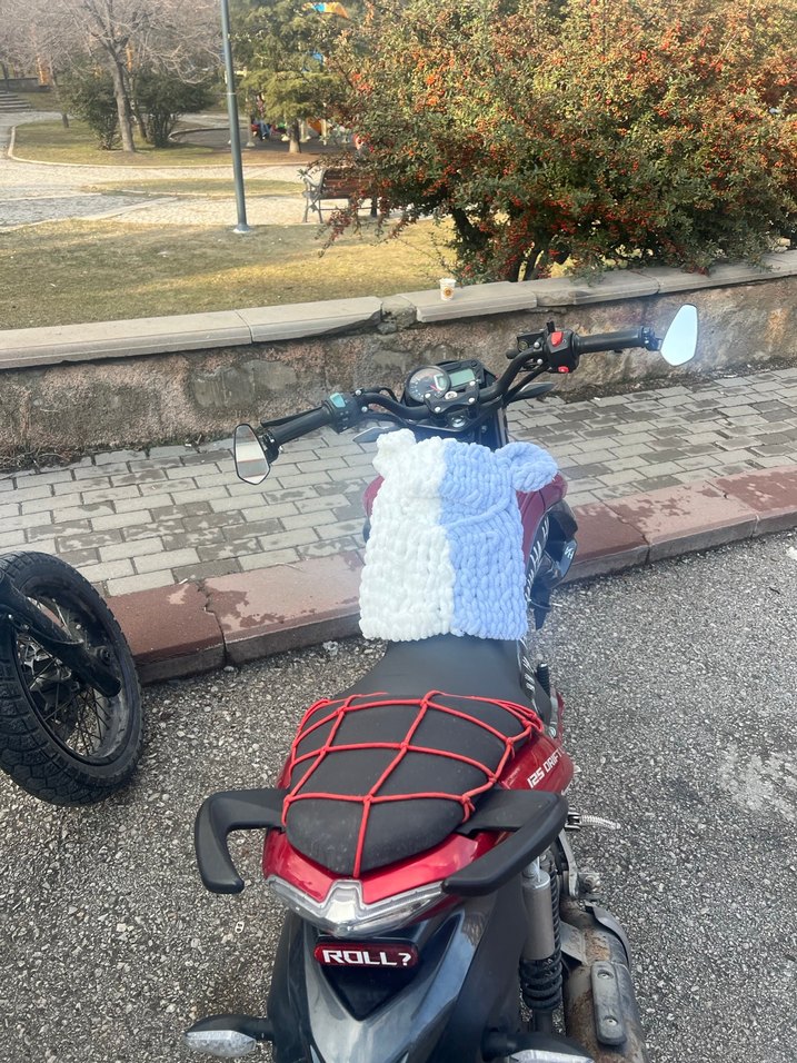 Wegh rumi kar maskesi - Görsel 4