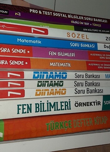  7. sınıf 