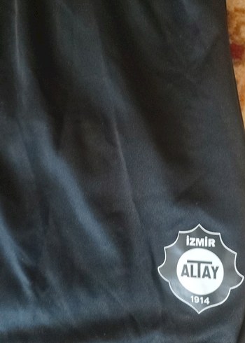 Erkek Kısa Kollu Çizgili Altay forması lisanslı - Görsel 2