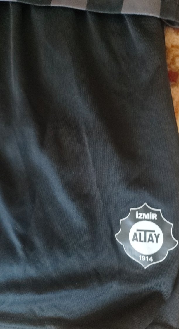 Erkek Kısa Kollu Çizgili Altay forması lisanslı - Görsel 2