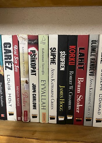 Sokak Nöbetçileri Serisi ve Diğer Romanlar - Görsel 2