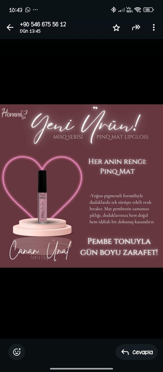 HOMM LIFE MISQ PINQ MAT LIPGLOSS 5 ML - Görsel 3