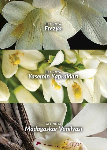 Avon Far Away Kadın Parfümü - Görsel 3