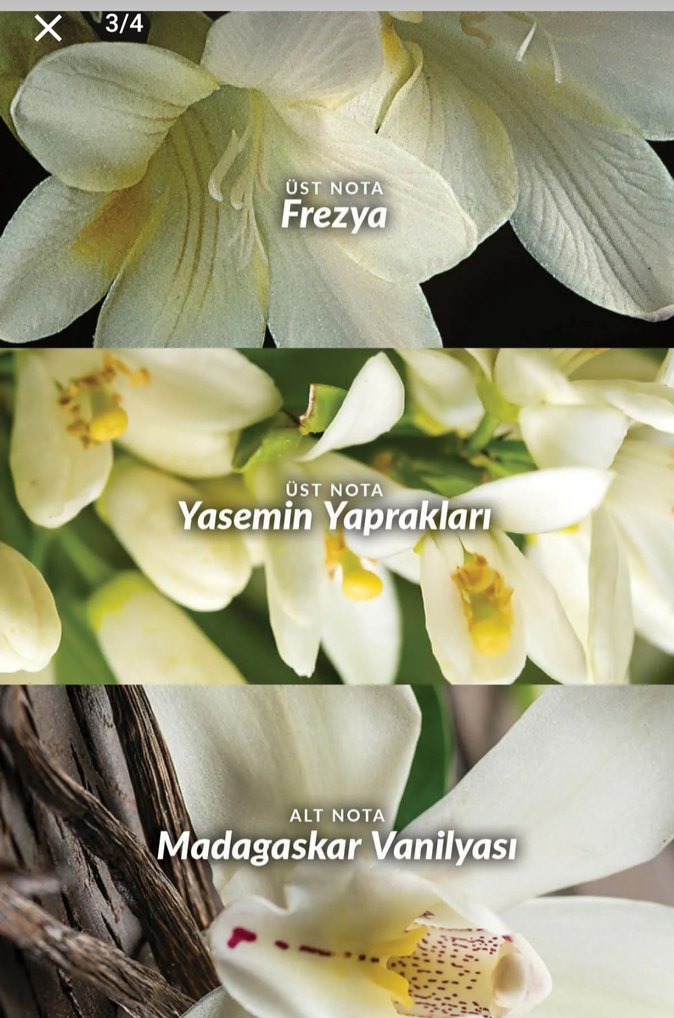 Avon Far Away Kadın Parfümü - Görsel 3