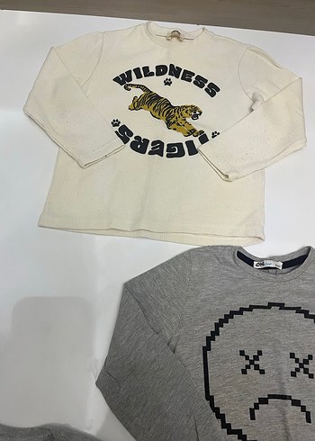 Gri Uzun Kollu Baskılı Erkek Tişört - Görsel 3