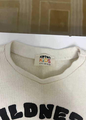 Gri Uzun Kollu Baskılı Erkek Tişört - Görsel 6