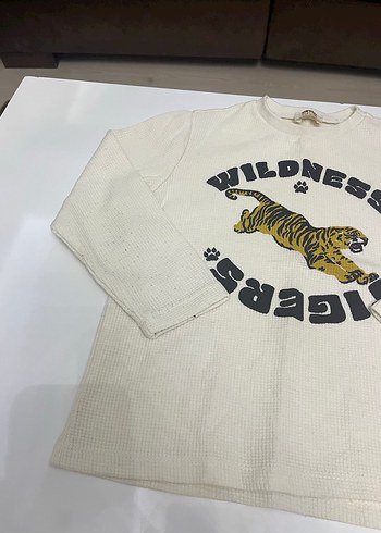 Gri Uzun Kollu Baskılı Erkek Tişört - Görsel 7