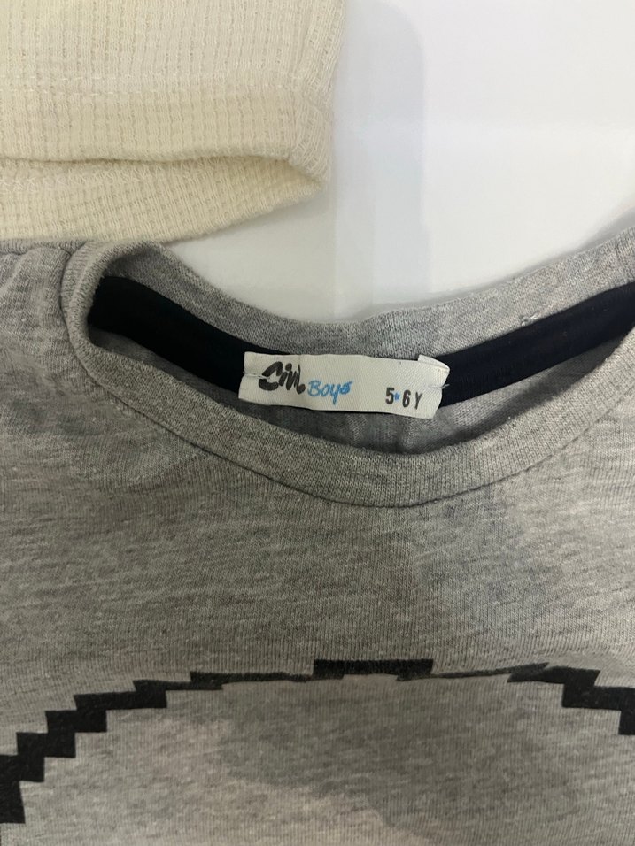 Gri Uzun Kollu Baskılı Erkek Tişört - Görsel 5