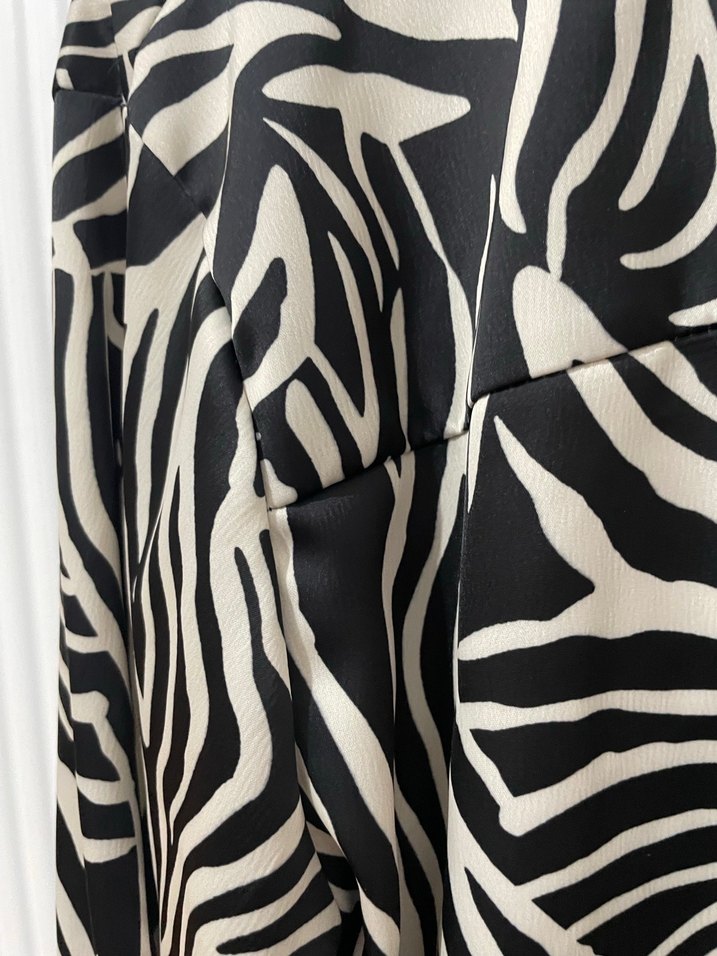 Zebra Desenli V Yakalı Gömlek - Görsel 4