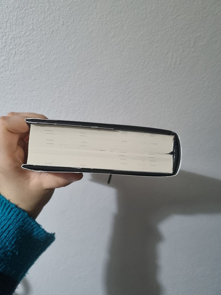 Loresima - Bülbül Kapanı Romanı - Görsel 4