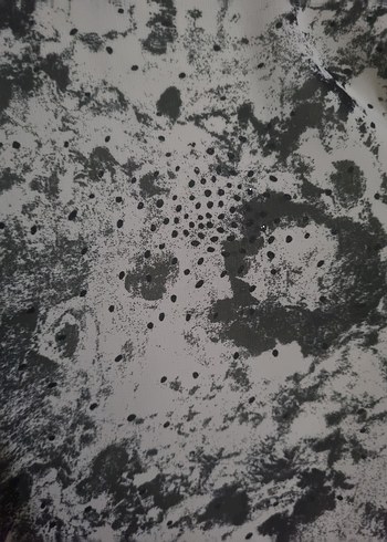 Gri Batik Desenli Uzun Kollu Salaş Tunik - Görsel 2