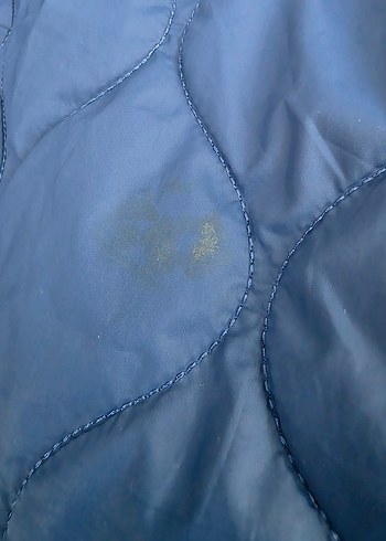 Lcw Erkek çocuk Mavi ince Mont - Görsel 9