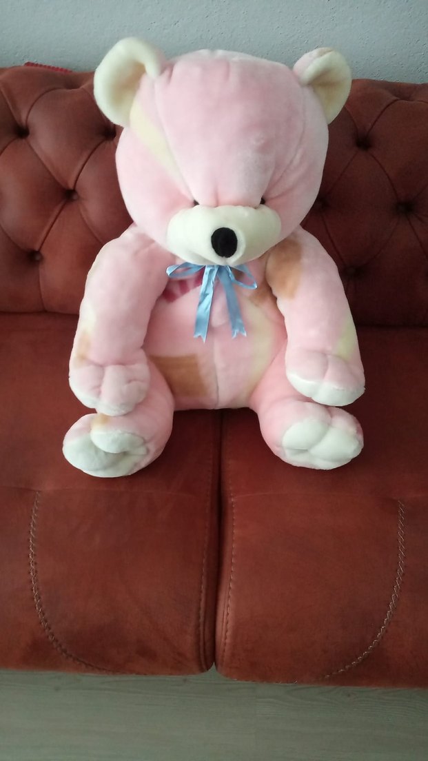 Pembe Peluş Ayıcık Oyuncak - Görsel 2